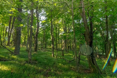 This is a fantastic building lot that overlooks the green on Skyland Lakes Golf Course in Virginia - for sale on GolfHomes.com, golf home, golf lot