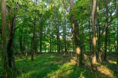 This is a fantastic building lot that overlooks the green on Skyland Lakes Golf Course in Virginia - for sale on GolfHomes.com, golf home, golf lot