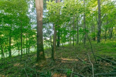 This is a fantastic building lot that overlooks the green on Skyland Lakes Golf Course in Virginia - for sale on GolfHomes.com, golf home, golf lot