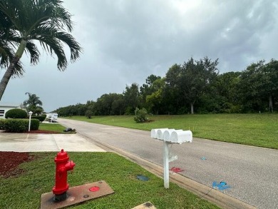 Imagine enjoying your morning coffee or tea sitting on an on Savanna Golf Club in Florida - for sale on GolfHomes.com, golf home, golf lot