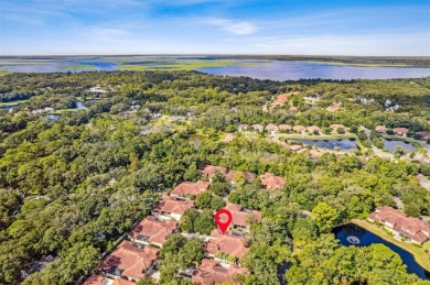 An extraordinary Courtyard Home in the Preserve at Summer Beach on Golf Club of Amelia Island in Florida - for sale on GolfHomes.com, golf home, golf lot