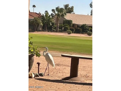 EXQUISITE home located on HOLE #7 of the Sonoran, w/GOLF COURSE on Oakwood Golf Club  in Arizona - for sale on GolfHomes.com, golf home, golf lot