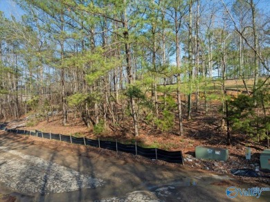 Gorgeous, large lot ready for you to bring your builder and get on Cherokee Ridge Country Club in Alabama - for sale on GolfHomes.com, golf home, golf lot