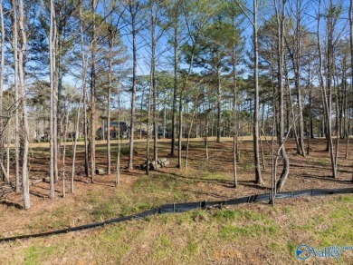 Gorgeous, large lot ready for you to bring your builder and get on Cherokee Ridge Country Club in Alabama - for sale on GolfHomes.com, golf home, golf lot
