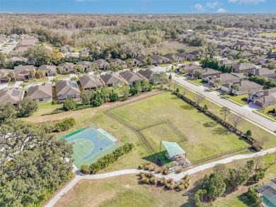 Limited time offer: 1 year Master Association HOA dues paid if on Ridgewood Lakes Golf and Country Club in Florida - for sale on GolfHomes.com, golf home, golf lot