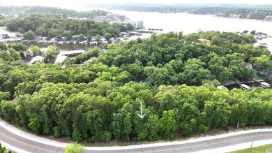 Build Your Dream at Lake of the Ozarks! Bring your vision to on Tan-Tar-A Golf Club in Missouri - for sale on GolfHomes.com, golf home, golf lot