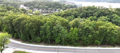 Build Your Dream at Lake of the Ozarks! Bring your vision to on Tan-Tar-A Golf Club in Missouri - for sale on GolfHomes.com, golf home, golf lot