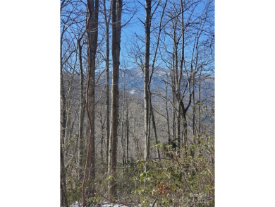 27 acres in southern Haywood County. Property has several on Springdale Golf - Country Club in North Carolina - for sale on GolfHomes.com, golf home, golf lot