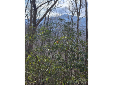 27 acres in southern Haywood County. Property has several on Springdale Golf - Country Club in North Carolina - for sale on GolfHomes.com, golf home, golf lot