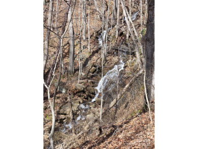 27 acres in southern Haywood County. Property has several on Springdale Golf - Country Club in North Carolina - for sale on GolfHomes.com, golf home, golf lot