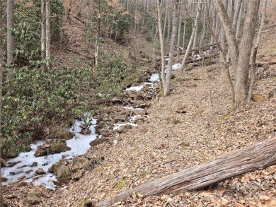27 acres in southern Haywood County. Property has several on Springdale Golf - Country Club in North Carolina - for sale on GolfHomes.com, golf home, golf lot