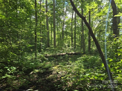 27 acres in southern Haywood County. Property has several on Springdale Golf - Country Club in North Carolina - for sale on GolfHomes.com, golf home, golf lot