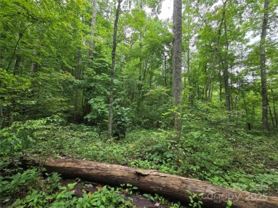27 acres in southern Haywood County. Property has several on Springdale Golf - Country Club in North Carolina - for sale on GolfHomes.com, golf home, golf lot
