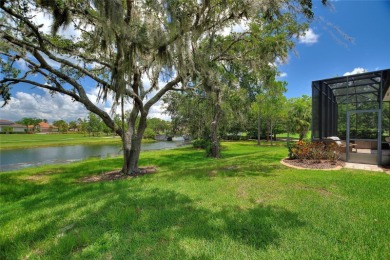 Discover luxury living in Solivita at 346 Treviso Drive with on Stonegate Golf Club in Florida - for sale on GolfHomes.com, golf home, golf lot