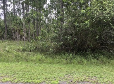 Come build your forever home on this one-half acre CANAL lot on Indian Lake Estates Golf and Country Club in Florida - for sale on GolfHomes.com, golf home, golf lot