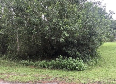 Come build your forever home on this one-half acre CANAL lot on Indian Lake Estates Golf and Country Club in Florida - for sale on GolfHomes.com, golf home, golf lot
