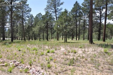 This beautiful home in Flying Horse North has been designed by on Flying Horse North Golf Course in Colorado - for sale on GolfHomes.com, golf home, golf lot