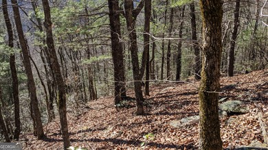 This lot offers stunning mountain views. Sky Valley, Georgia's on Sky Valley Resort and Country Club in Georgia - for sale on GolfHomes.com, golf home, golf lot