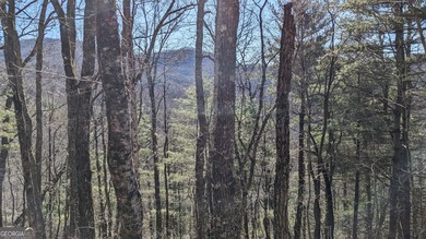 This lot offers stunning mountain views. Sky Valley, Georgia's on Sky Valley Resort and Country Club in Georgia - for sale on GolfHomes.com, golf home, golf lot