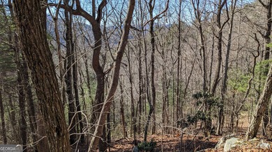 This lot offers stunning mountain views. Sky Valley, Georgia's on Sky Valley Resort and Country Club in Georgia - for sale on GolfHomes.com, golf home, golf lot