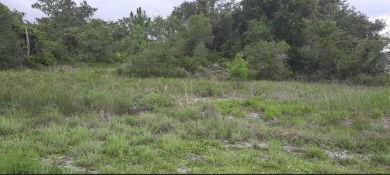 This property is zoned commercial and ready for you to build on Indian Lake Estates Golf and Country Club in Florida - for sale on GolfHomes.com, golf home, golf lot