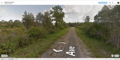 Build Your Dream Home in Lehigh Acres! Discover this beautiful on Mirror Lakes Golf Club in Florida - for sale on GolfHomes.com, golf home, golf lot