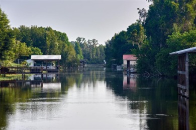 One-half acre lot located in the lake community of Indian Lake on Indian Lake Estates Golf and Country Club in Florida - for sale on GolfHomes.com, golf home, golf lot