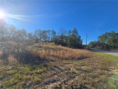This cleared corner lot on a paved road in beautiful Citrus on Pine Ridge Community Golf and Country Club in Florida - for sale on GolfHomes.com, golf home, golf lot