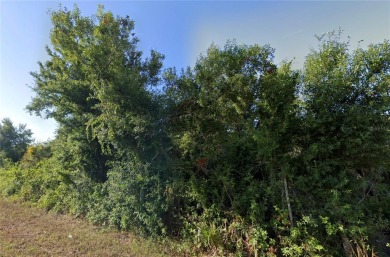 Great property for sale in Port Charlotte. This lots measures on Duffys Golf Center in Florida - for sale on GolfHomes.com, golf home, golf lot