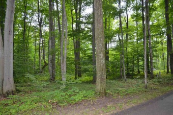 Join Birchwood Country Club with this wooded lot at the north on Chestnut Valley Golf Club in Michigan - for sale on GolfHomes.com, golf home, golf lot