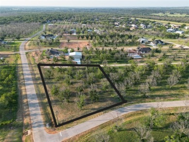 Experience luxury living at The Landings Airpark near Granbury on Pecan Plantation Country Club in Texas - for sale on GolfHomes.com, golf home, golf lot
