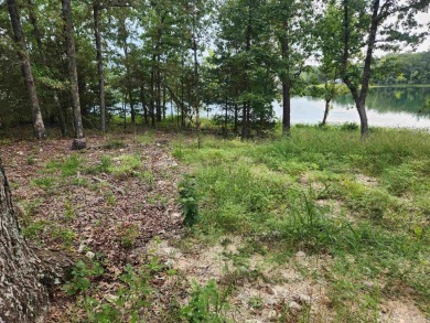 Diamond Lake front lot with stunning views. Already passed a on The Course At Turkey Mountain in Arkansas - for sale on GolfHomes.com, golf home, golf lot