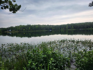 Diamond Lake front lot with stunning views. Already passed a on The Course At Turkey Mountain in Arkansas - for sale on GolfHomes.com, golf home, golf lot