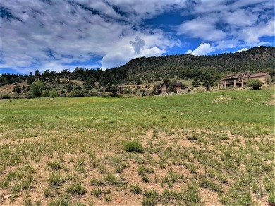 Suzy Woodward, Team Murphy Realty, C: , suzy,  : Discover the on Rio Grande Golf Club in Colorado - for sale on GolfHomes.com, golf home, golf lot