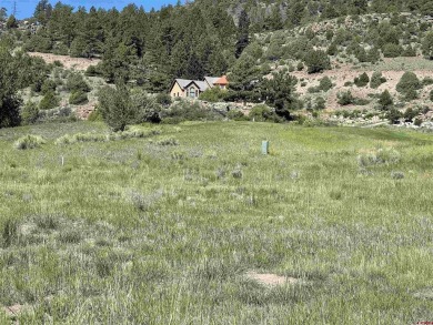 Suzy Woodward, Team Murphy Realty, C: , suzy,  : Discover the on Rio Grande Golf Club in Colorado - for sale on GolfHomes.com, golf home, golf lot
