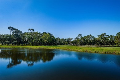 NO STORM DAMAGE OR FLOODING from recent hurricanes NO MILESTONE on Innisbrook Resort and Golf Club in Florida - for sale on GolfHomes.com, golf home, golf lot