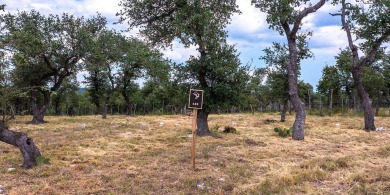 Purchase includes a $200K exclusive membership to Boot Ranch on Boot Ranch Golf Club in Texas - for sale on GolfHomes.com, golf home, golf lot