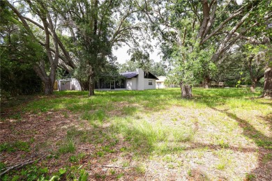 Fully Renovated Dream Home on Oversized Lot - Move-In Ready! on Seven Springs Golf and Country Club in Florida - for sale on GolfHomes.com, golf home, golf lot