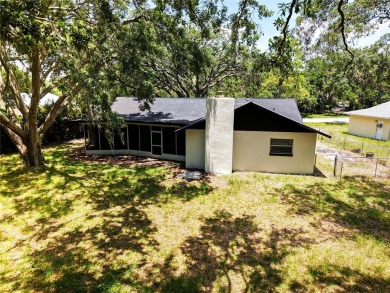 Fully Renovated Dream Home on Oversized Lot - Move-In Ready! on Seven Springs Golf and Country Club in Florida - for sale on GolfHomes.com, golf home, golf lot