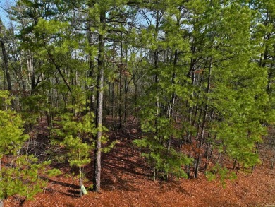 Great Opportunity Across from Ponce Golf Course near the on Ponce De Leon Golf Course in Arkansas - for sale on GolfHomes.com, golf home, golf lot