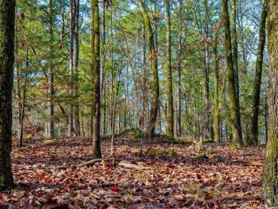 Great Opportunity Across from Ponce Golf Course near the on Ponce De Leon Golf Course in Arkansas - for sale on GolfHomes.com, golf home, golf lot