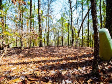Great Opportunity Across from Ponce Golf Course near the on Ponce De Leon Golf Course in Arkansas - for sale on GolfHomes.com, golf home, golf lot