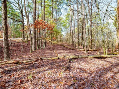Great Opportunity Across from Ponce Golf Course near the on Ponce De Leon Golf Course in Arkansas - for sale on GolfHomes.com, golf home, golf lot
