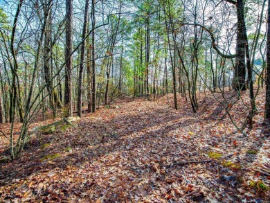 Great Opportunity Across from Ponce Golf Course near the on Ponce De Leon Golf Course in Arkansas - for sale on GolfHomes.com, golf home, golf lot