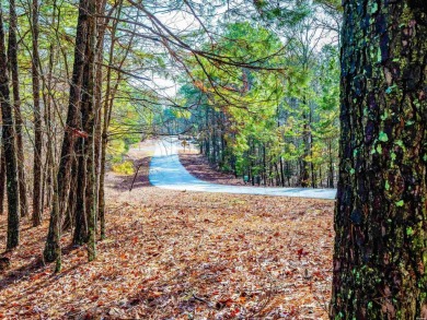 Great Opportunity Across from Ponce Golf Course near the on Ponce De Leon Golf Course in Arkansas - for sale on GolfHomes.com, golf home, golf lot