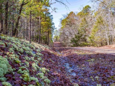 Great Opportunity Across from Ponce Golf Course near the on Ponce De Leon Golf Course in Arkansas - for sale on GolfHomes.com, golf home, golf lot
