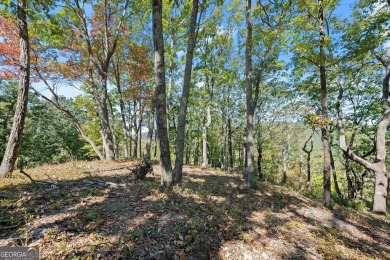 Discovering the Dream: Estate-Sized Lot in Habersham County on The Orchard Golf and Country Club in Georgia - for sale on GolfHomes.com, golf home, golf lot