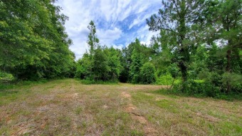 59+/- Beautiful acres located in Ozark, Just minutes from Ft on Ozark Country Club in Alabama - for sale on GolfHomes.com, golf home, golf lot