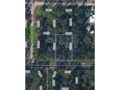Located in Placid Lakes. Conveniently located between the town on Placid Lakes Country Club in Florida - for sale on GolfHomes.com, golf home, golf lot