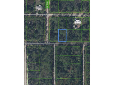 Located in Placid Lakes. Conveniently located between the town on Placid Lakes Country Club in Florida - for sale on GolfHomes.com, golf home, golf lot